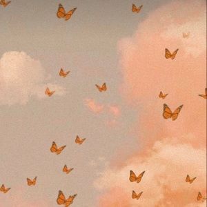 Meet your Posher, Zozo